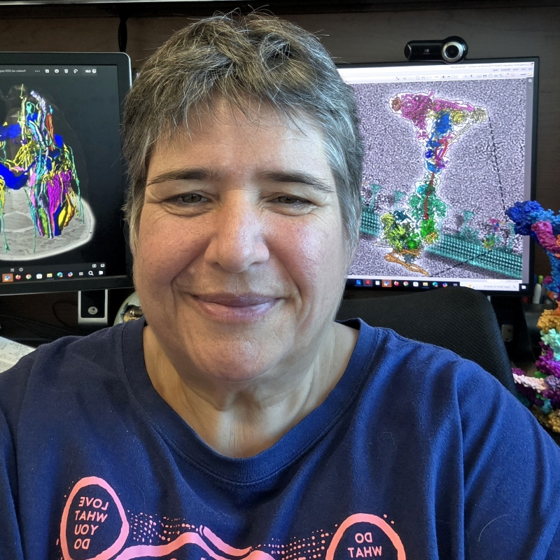 Daniela Nicastro, Ph.D.
