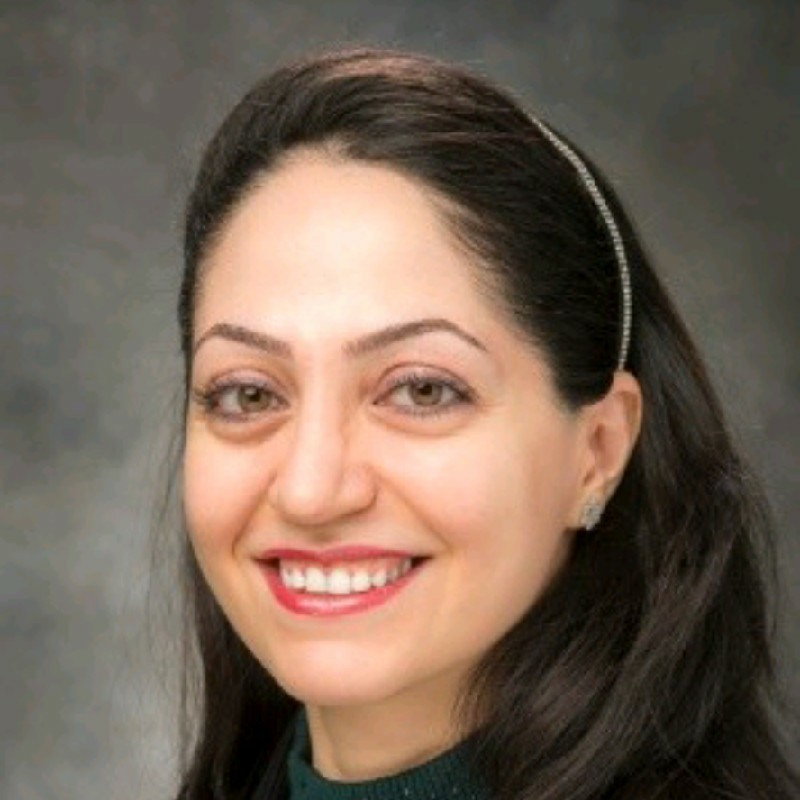 Parastoo Sabaeifard, Ph.D.
