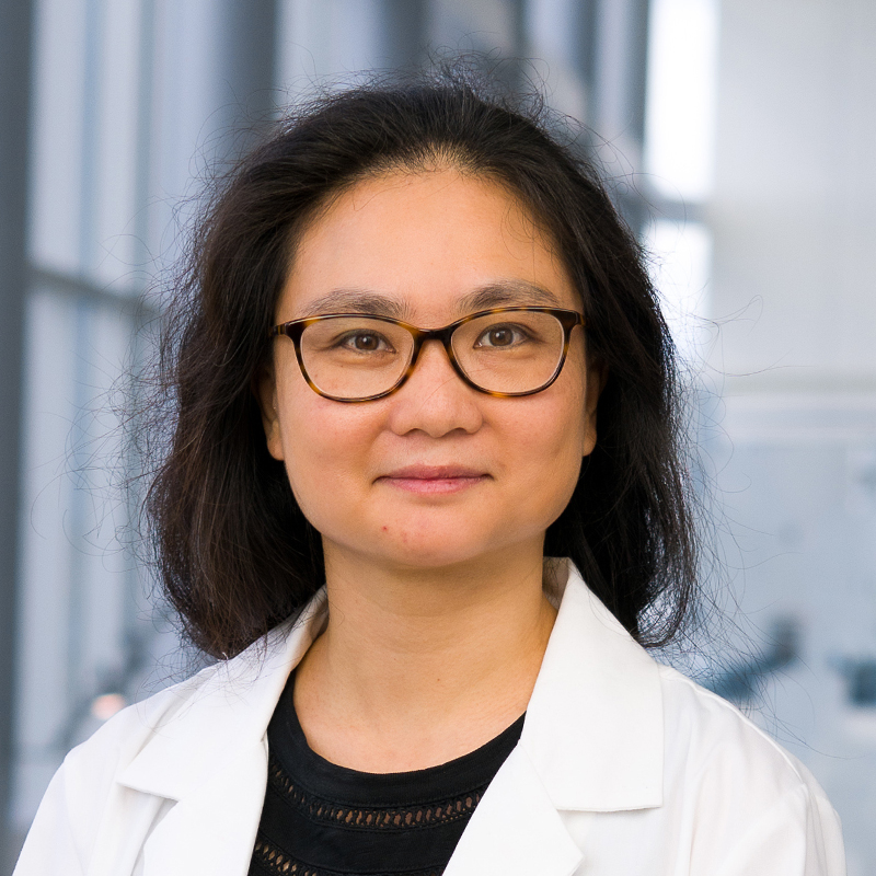Lenette Lu, M.D.,  Ph.D.
