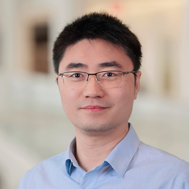 Nian Wang, Ph.D.
