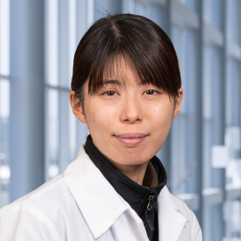 Mina Fujitani, Ph.D.
