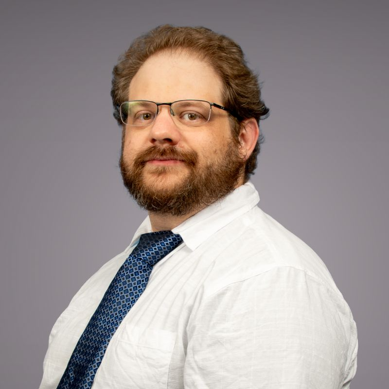 Daniel Treisman, Ph.D.
