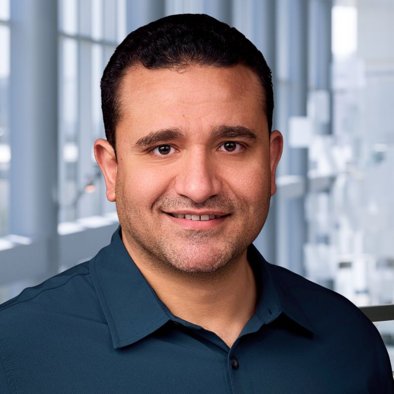 Taha Moussa, M.D.
