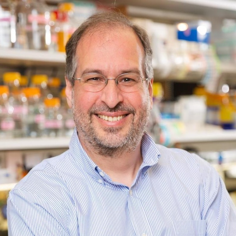 Michael Rosen, Ph.D.
