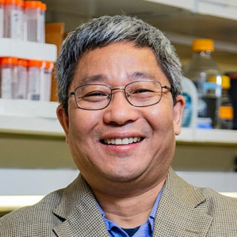 Youxing Jiang, Ph.D.
